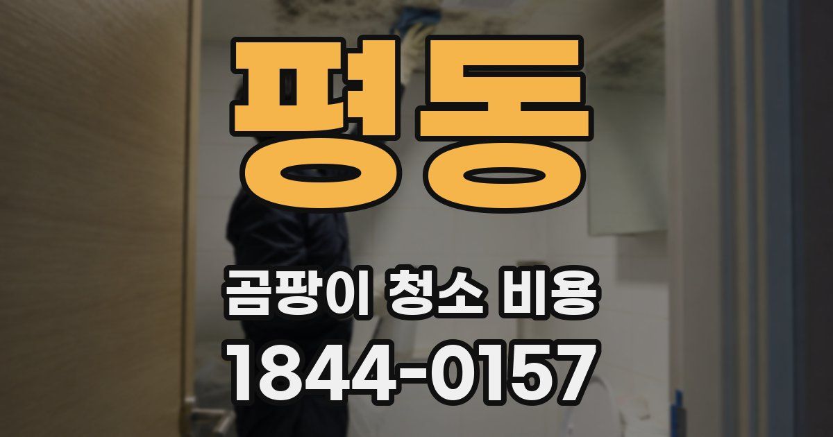 평동 곰팡이 청소 비용