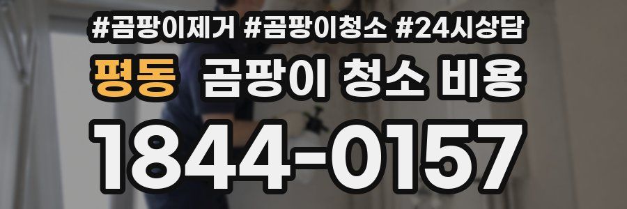 평동 곰팡이 청소 비용