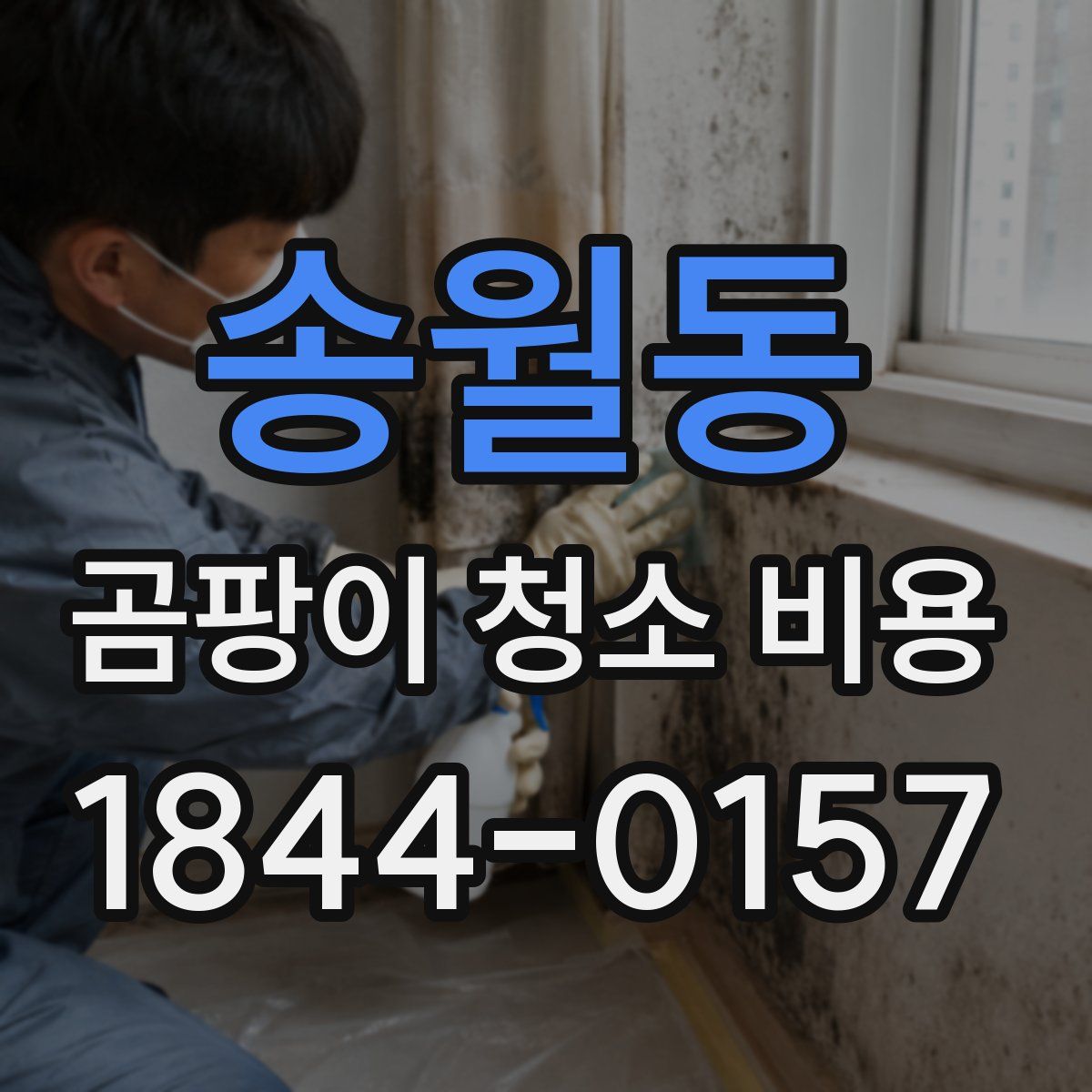 송월동 곰팡이 청소 비용