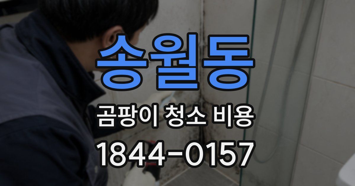 송월동 곰팡이 청소 비용