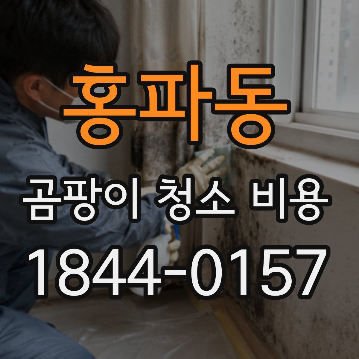 홍파동 곰팡이 청소 비용