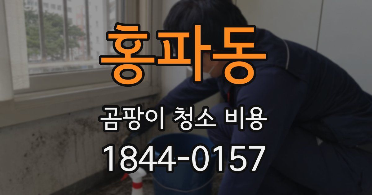 홍파동 곰팡이 청소 비용