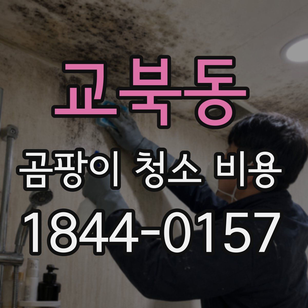 교북동 곰팡이 청소 비용