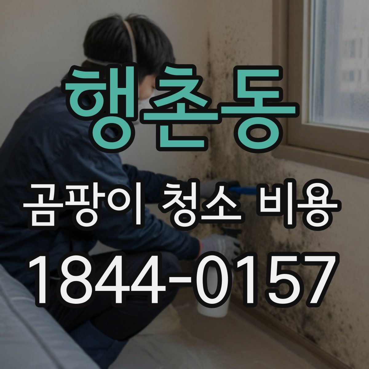행촌동 곰팡이 청소 비용