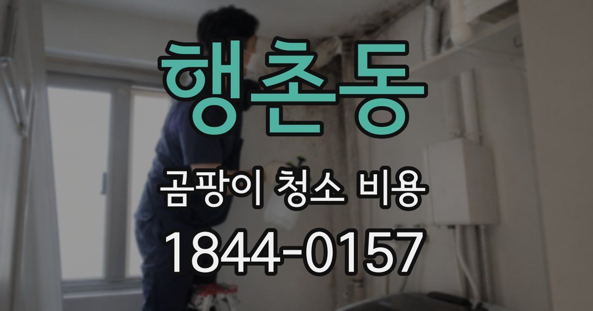 행촌동 곰팡이 청소 비용