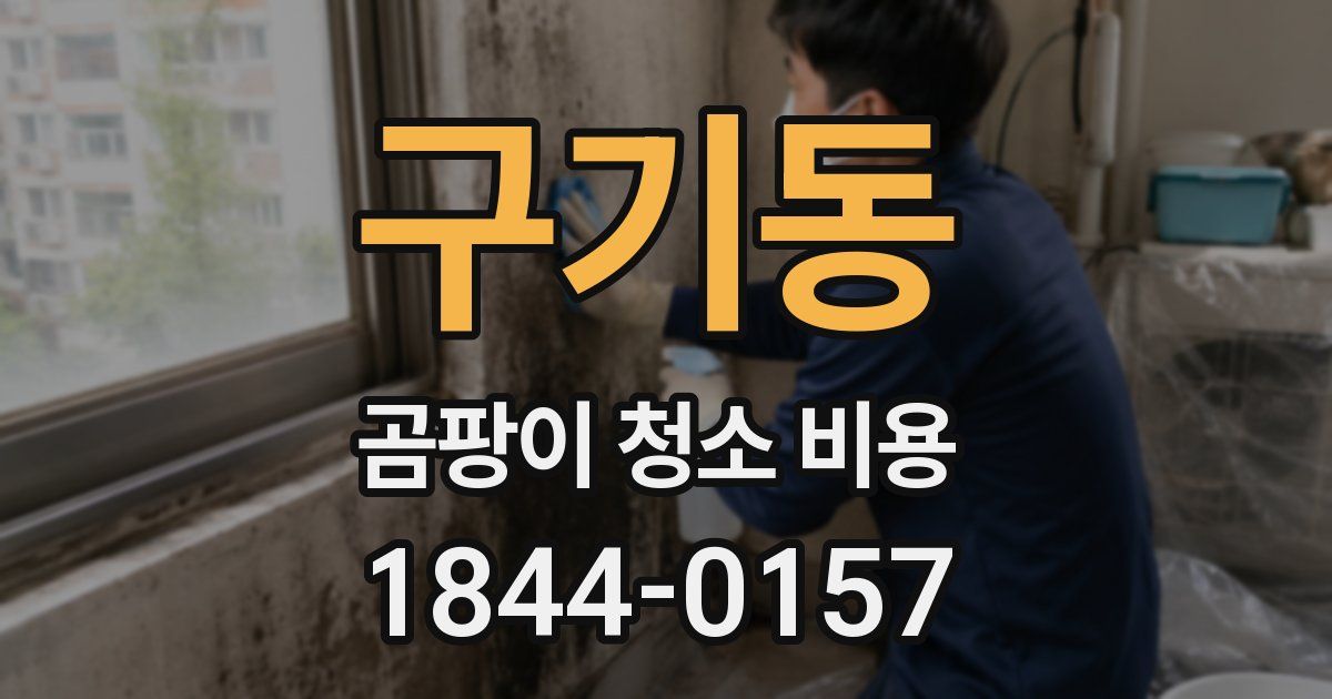 구기동 곰팡이 청소 비용