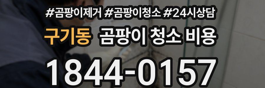 구기동 곰팡이 청소 비용