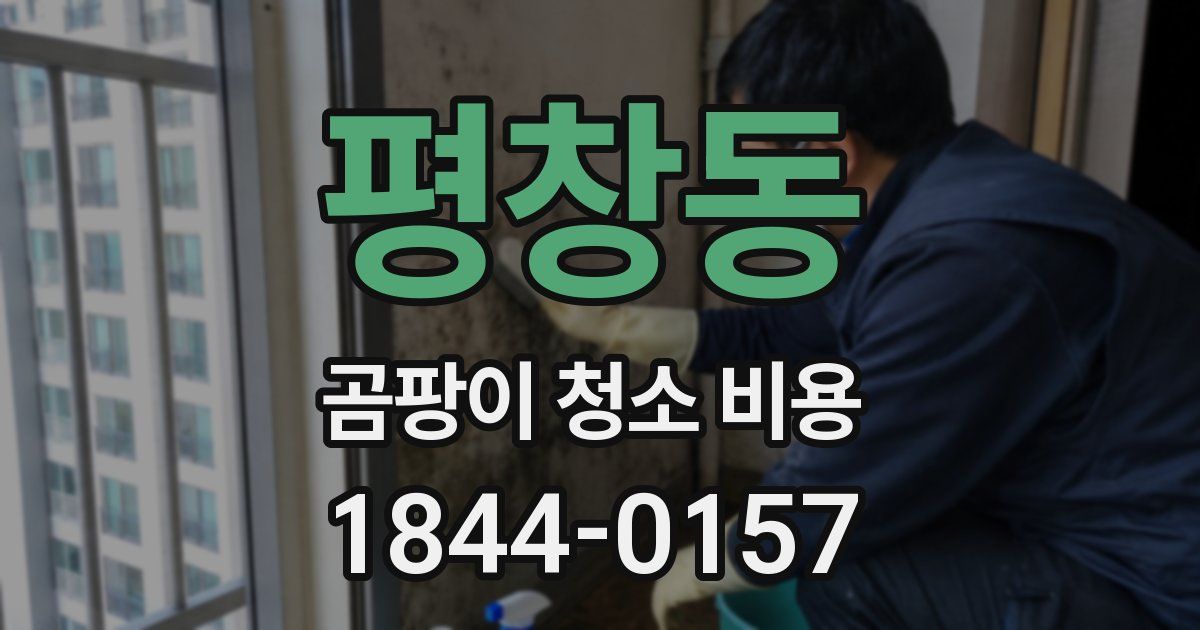 평창동 곰팡이 청소 비용