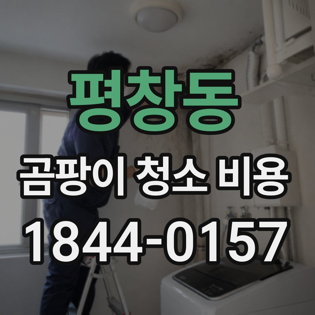 평창동 곰팡이 청소 비용