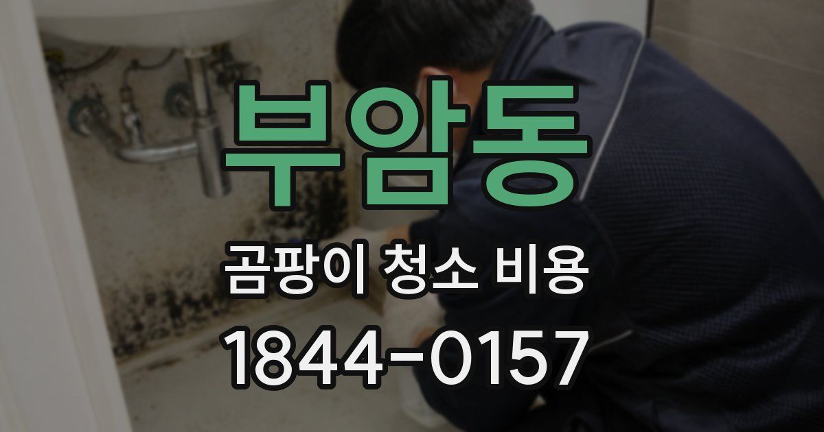 부암동 곰팡이 청소 비용