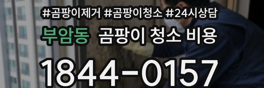 부암동 곰팡이 청소 비용