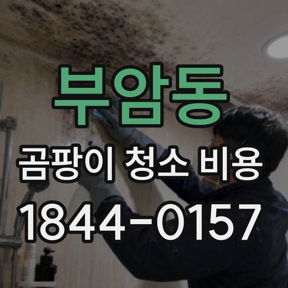 부암동 곰팡이 청소 비용