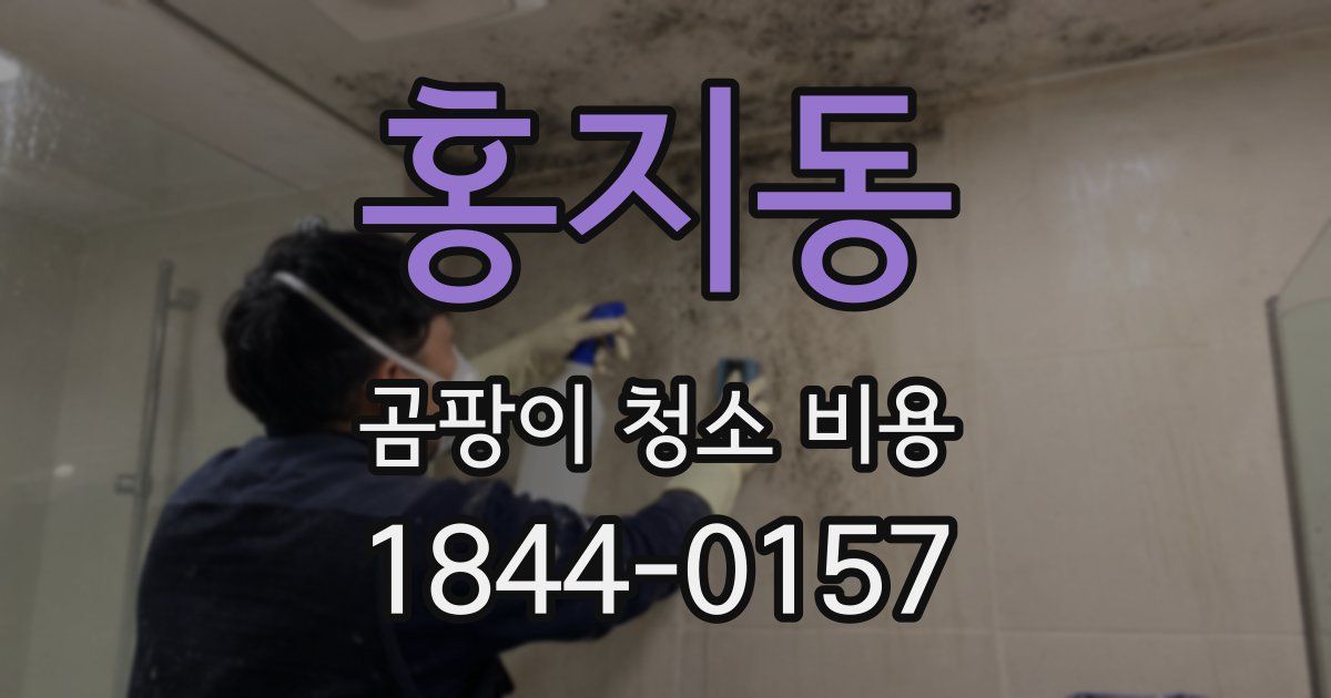 홍지동 곰팡이 청소 비용