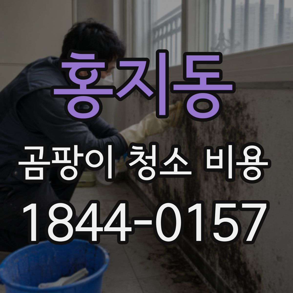 홍지동 곰팡이 청소 비용