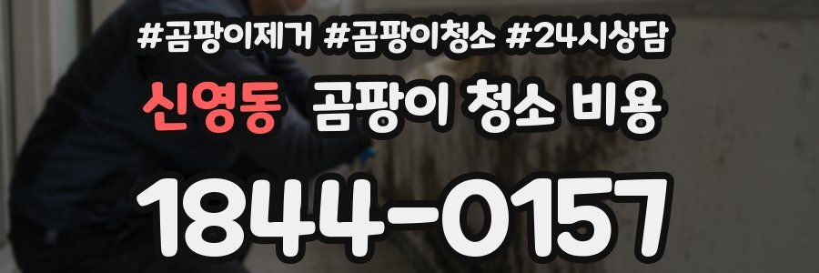 신영동 곰팡이 청소 비용