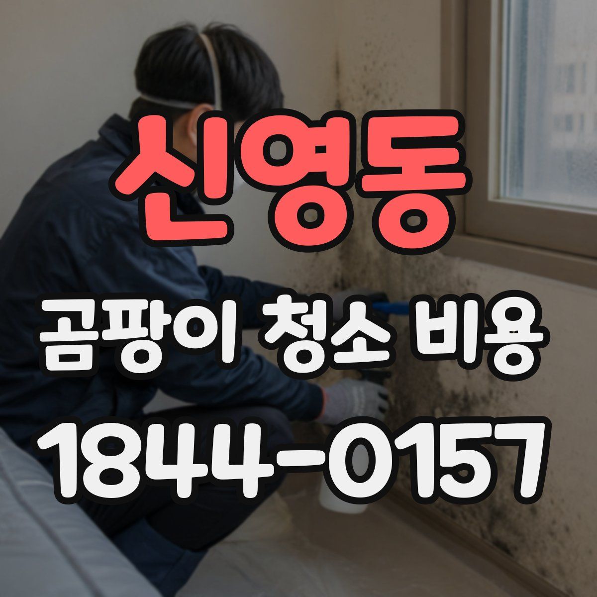 신영동 곰팡이 청소 비용