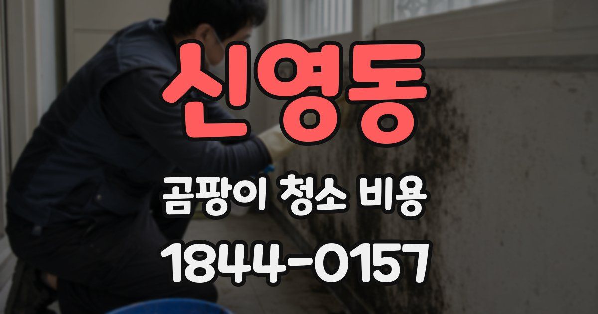 신영동 곰팡이 청소 비용