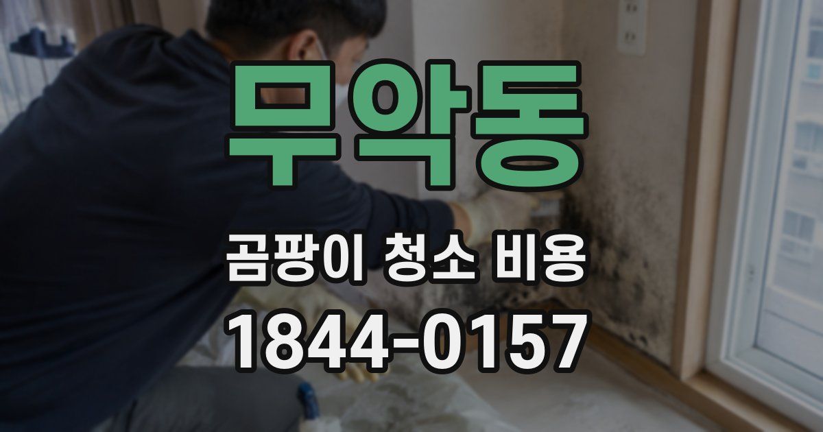 무악동 곰팡이 청소 비용