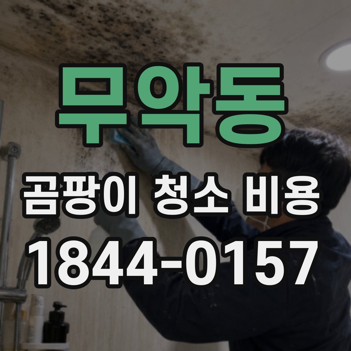 무악동 곰팡이 청소 비용