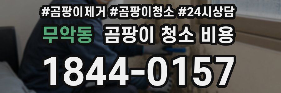 무악동 곰팡이 청소 비용