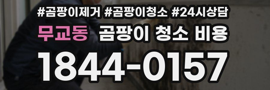 무교동 곰팡이 청소 비용