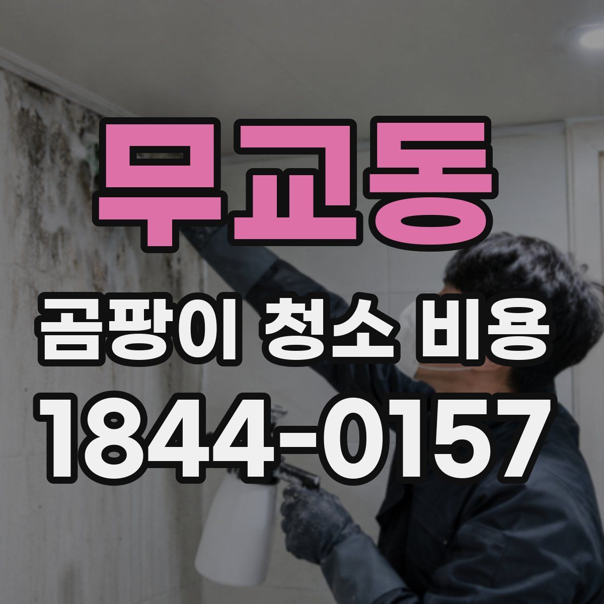무교동 곰팡이 청소 비용
