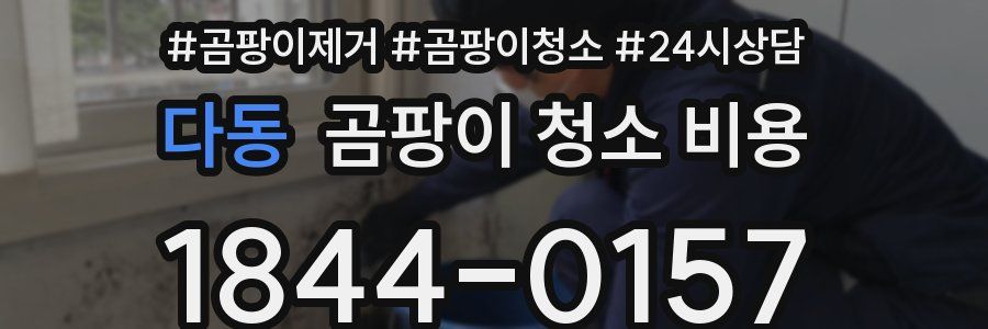 다동 곰팡이 청소 비용