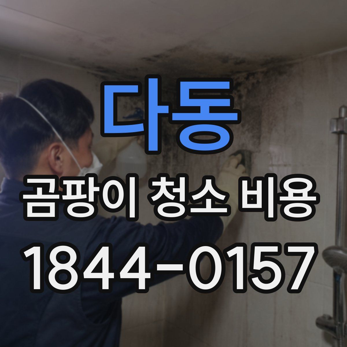 다동 곰팡이 청소 비용