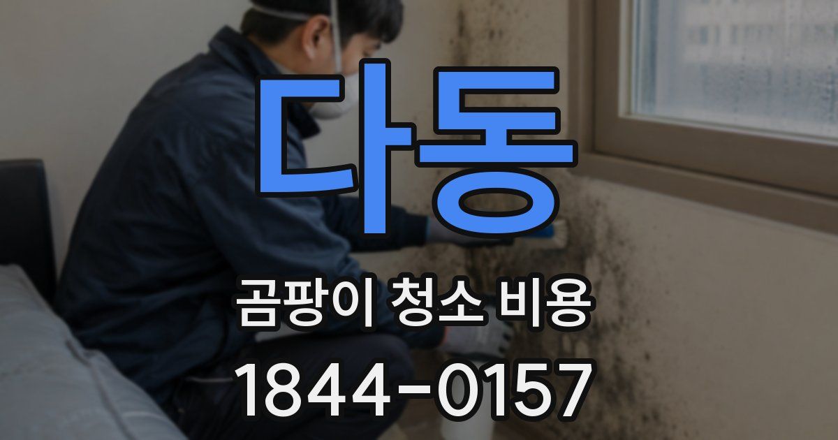 다동 곰팡이 청소 비용