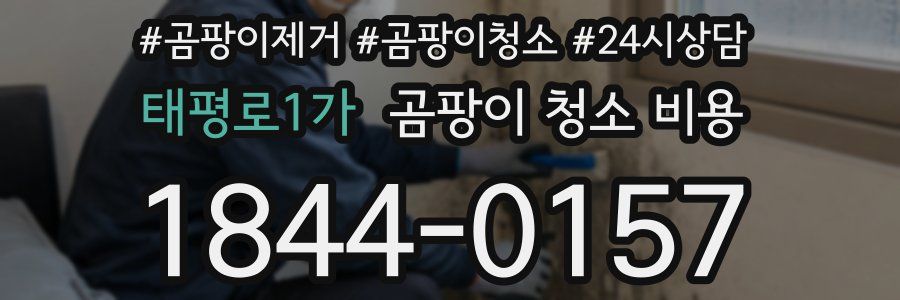 태평로1가 곰팡이 청소 비용