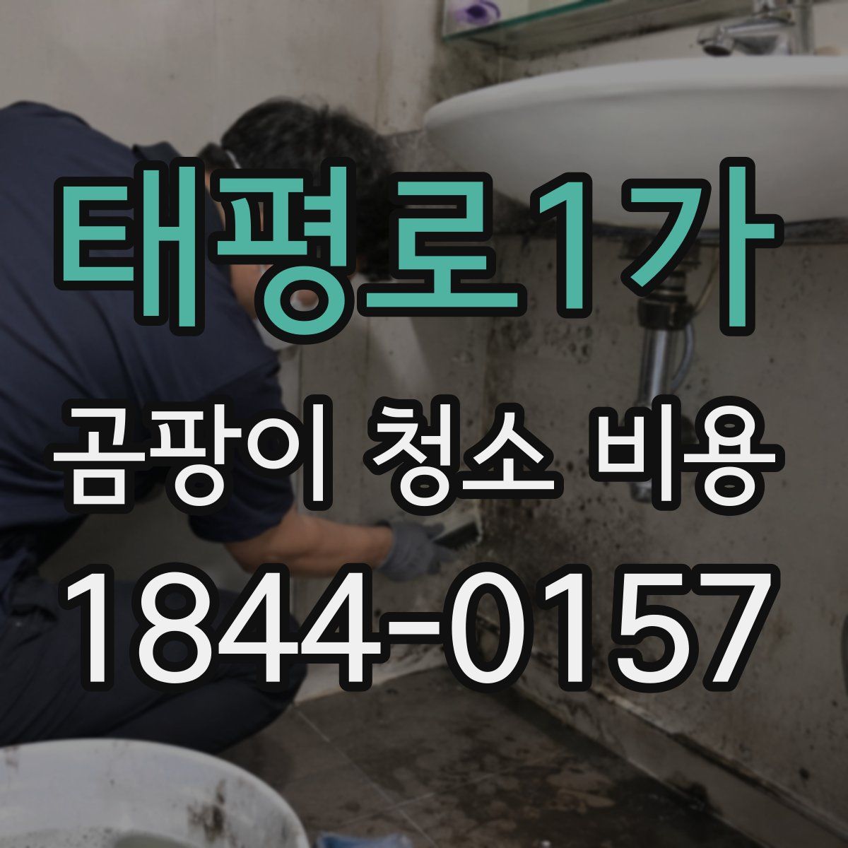 태평로1가 곰팡이 청소 비용