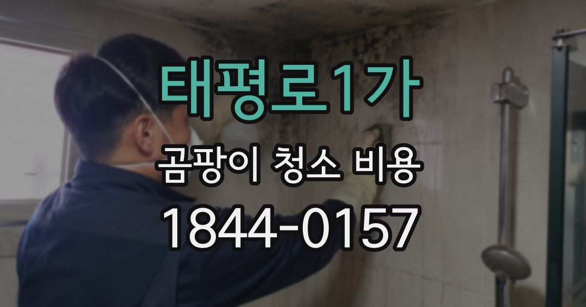 태평로1가 곰팡이 청소 비용