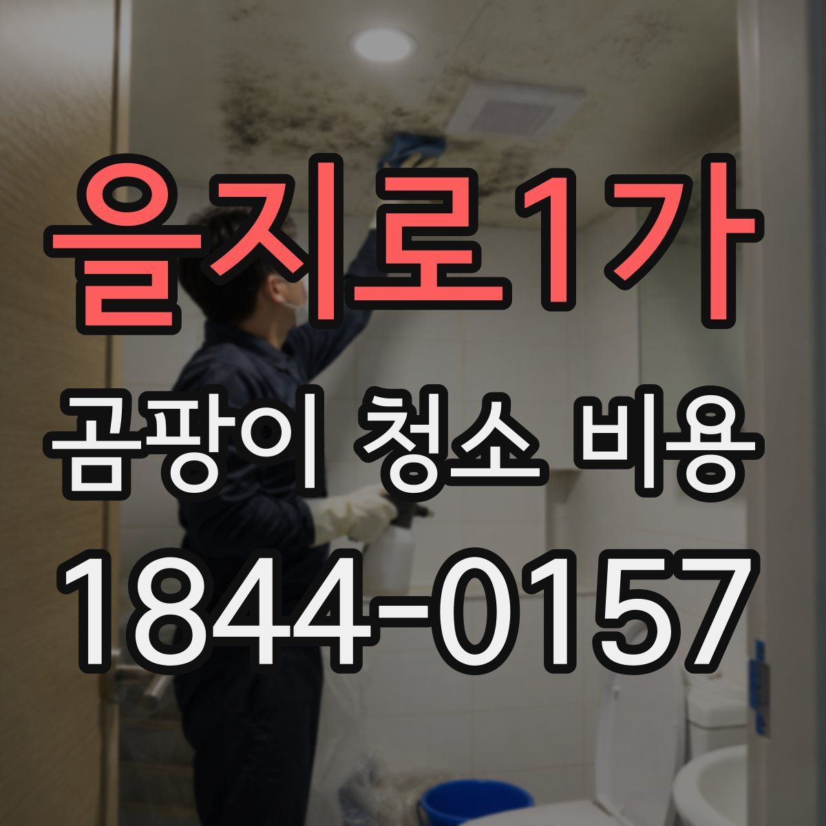 을지로1가 곰팡이 청소 비용