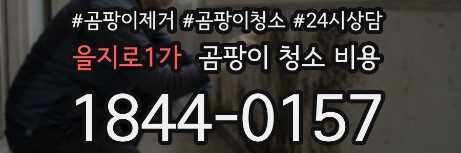 을지로1가 곰팡이 청소 비용
