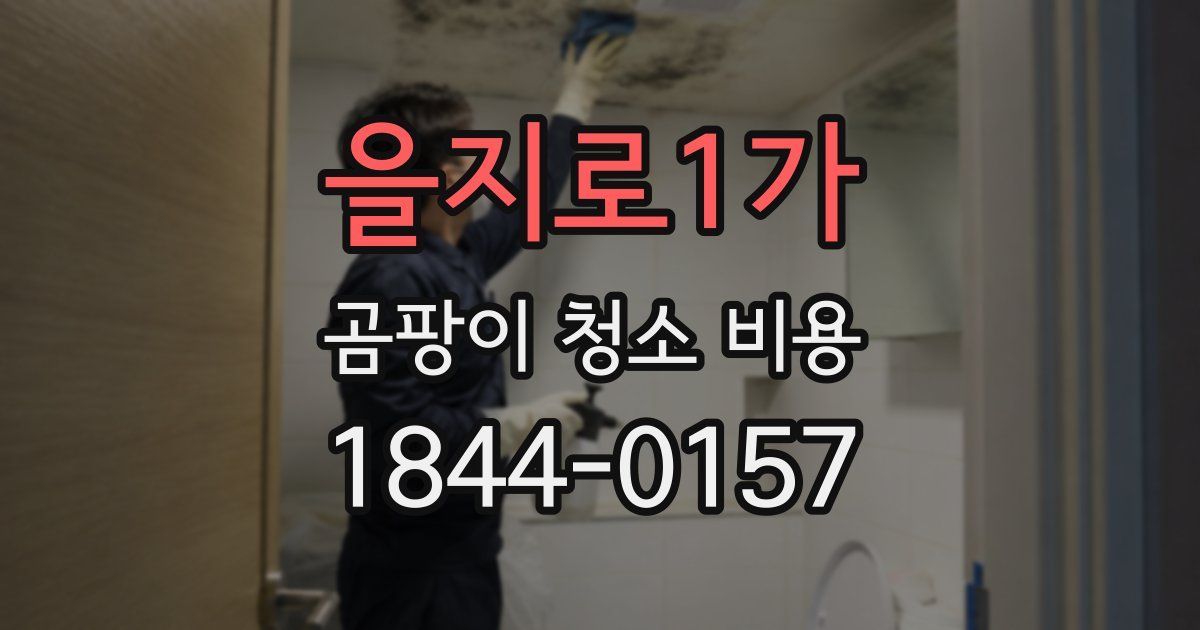 을지로1가 곰팡이 청소 비용