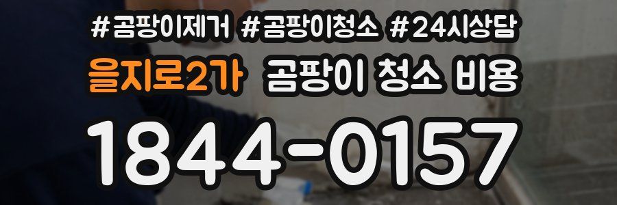 을지로2가 곰팡이 청소 비용