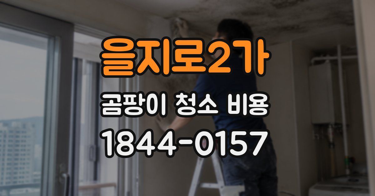 을지로2가 곰팡이 청소 비용
