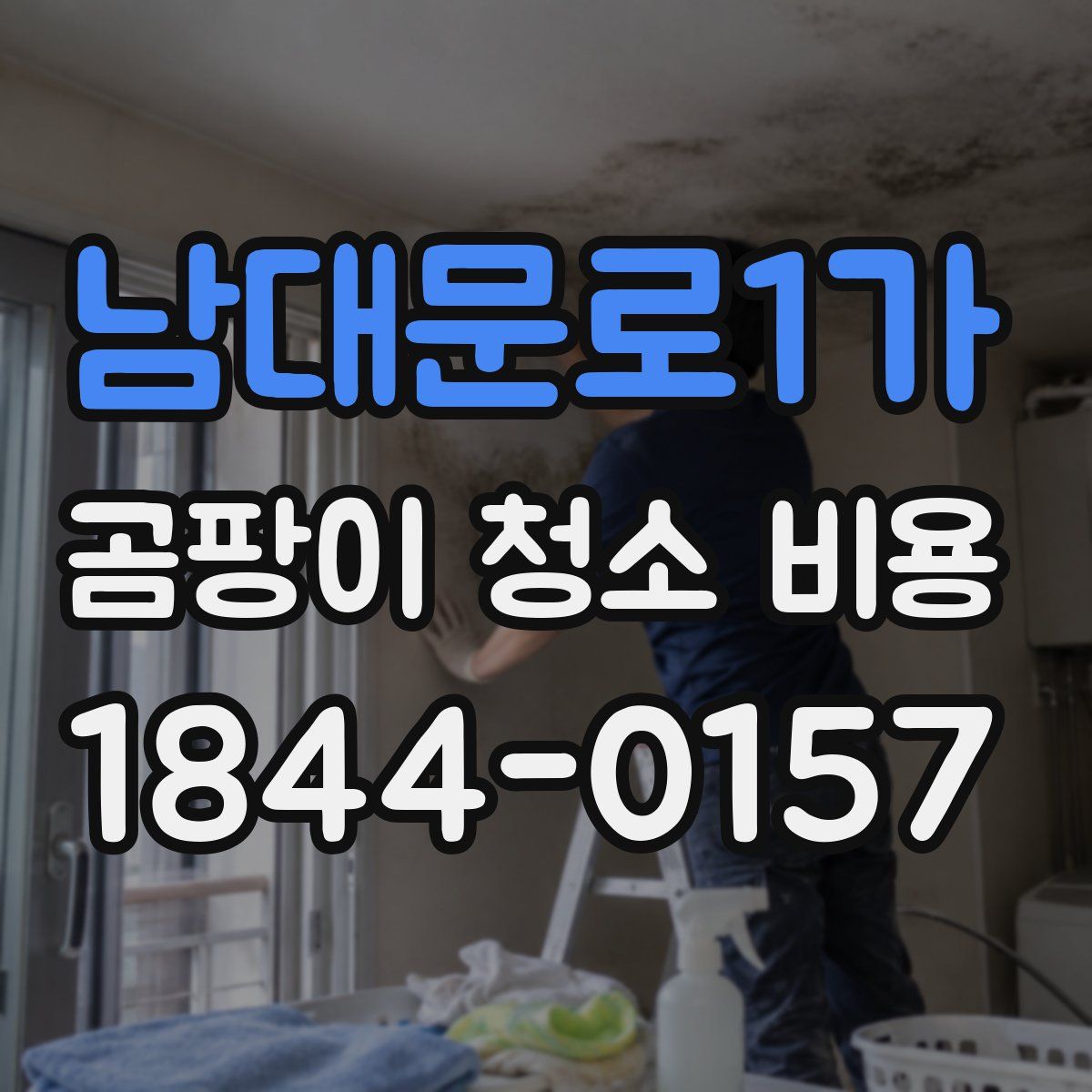 남대문로1가 곰팡이 청소 비용