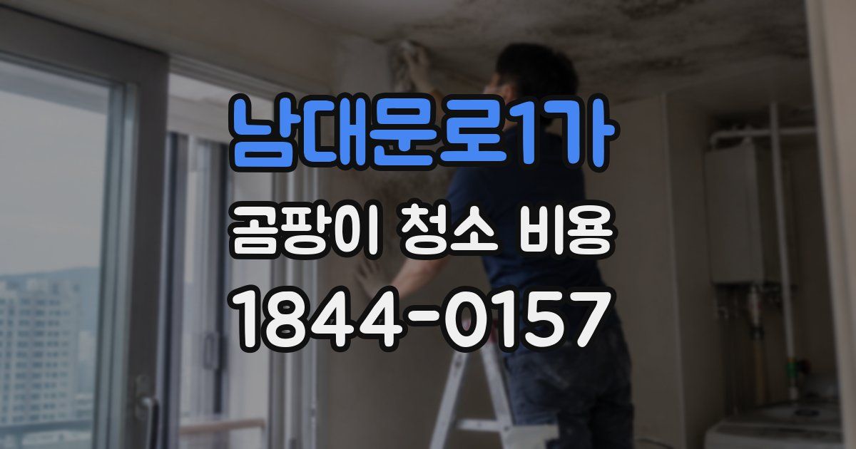 남대문로1가 곰팡이 청소 비용