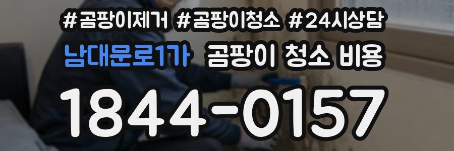 남대문로1가 곰팡이 청소 비용