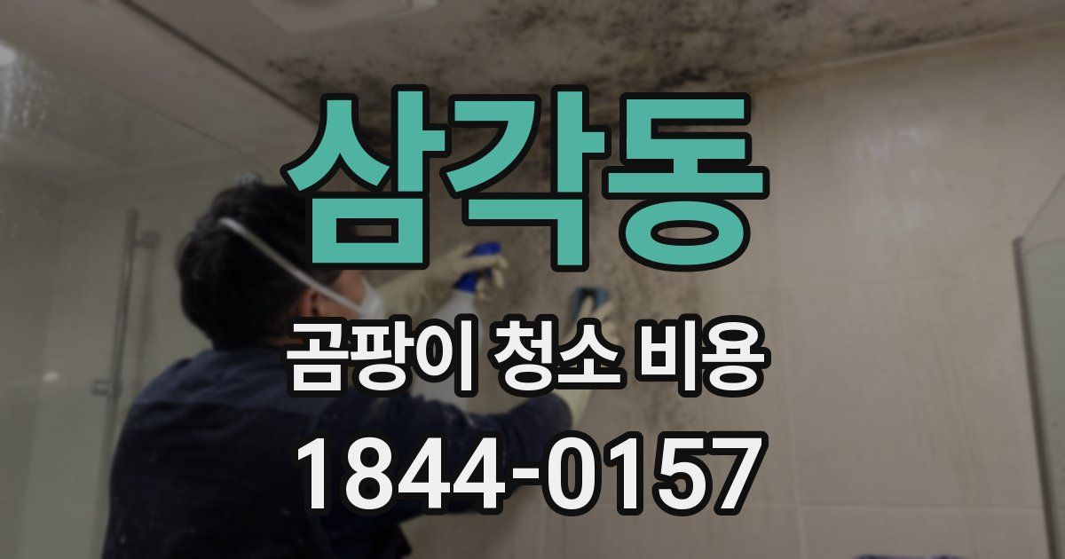 삼각동 곰팡이 청소 비용