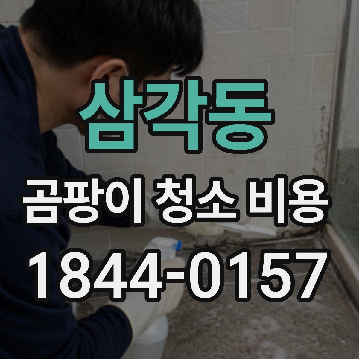 삼각동 곰팡이 청소 비용