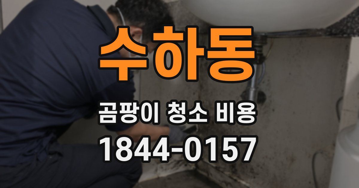 수하동 곰팡이 청소 비용