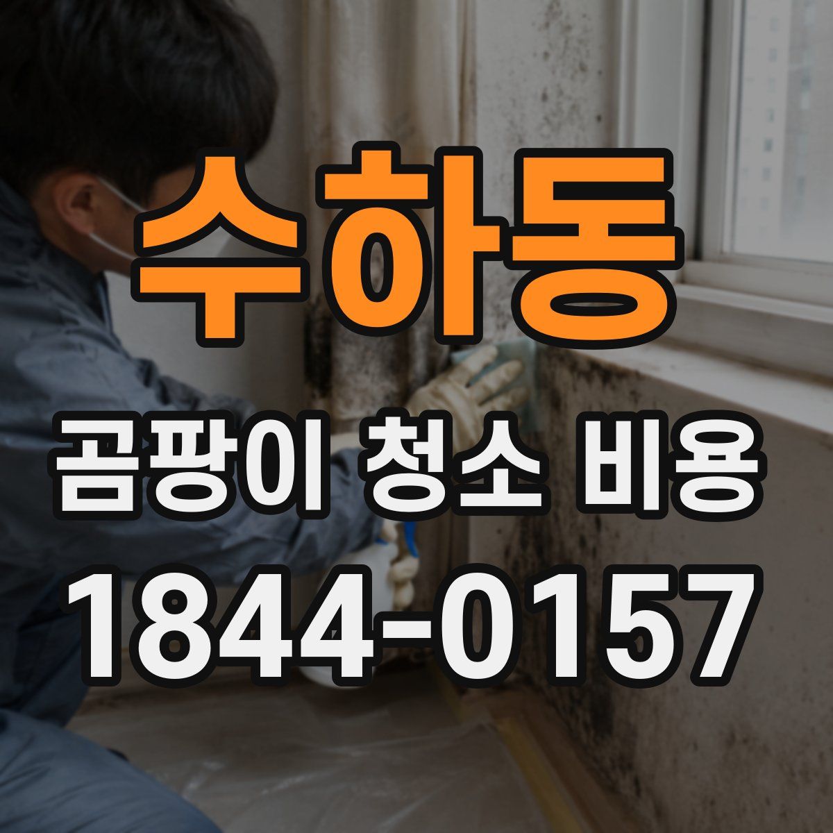 수하동 곰팡이 청소 비용