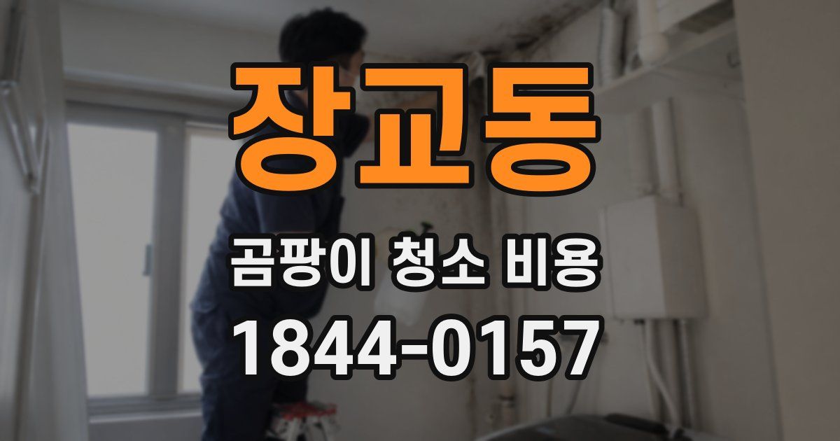 장교동 곰팡이 청소 비용