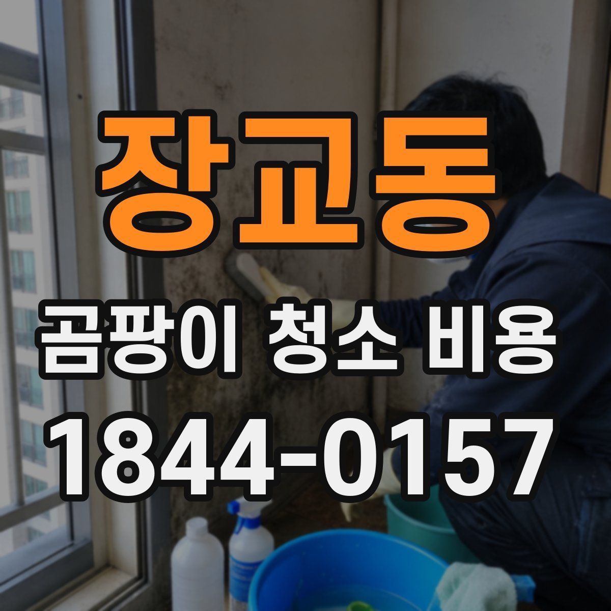 장교동 곰팡이 청소 비용