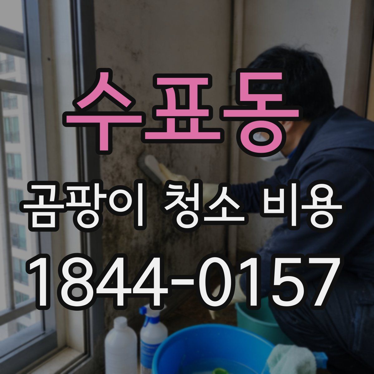 수표동 곰팡이 청소 비용