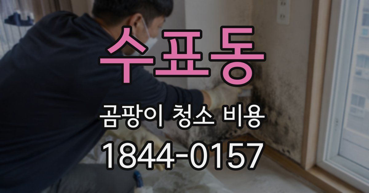 수표동 곰팡이 청소 비용