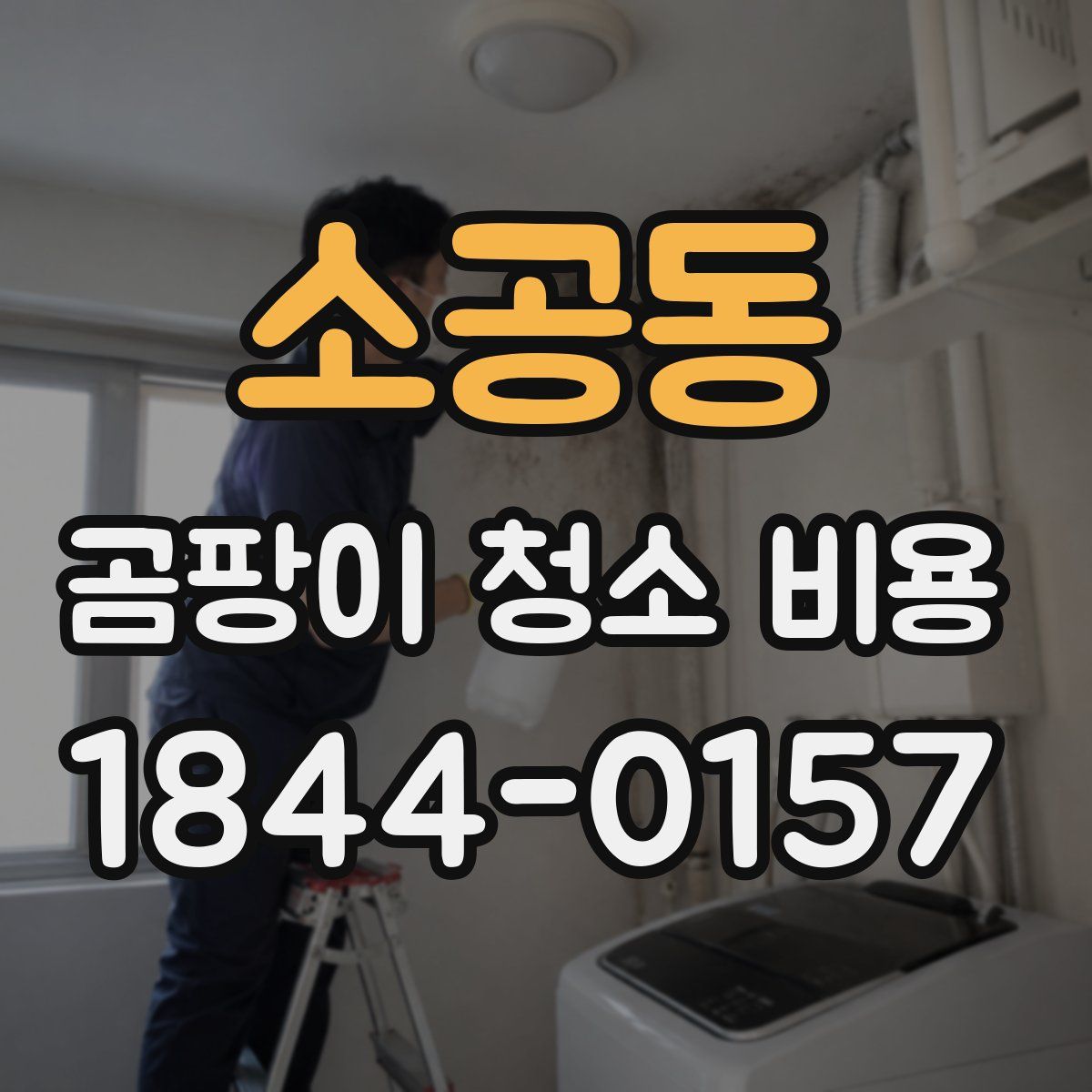 소공동 곰팡이 청소 비용