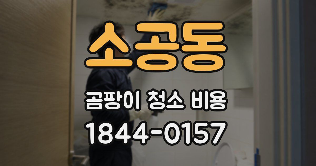 소공동 곰팡이 청소 비용